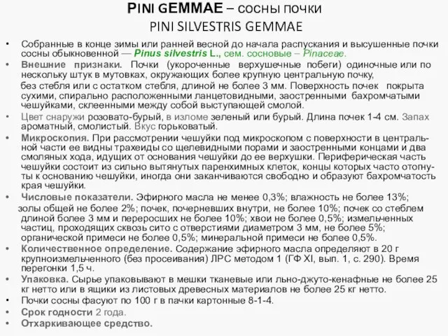 РINI GЕММАЕ – сосны почки PINI SILVESTRIS GEMMAE Собранные в конце