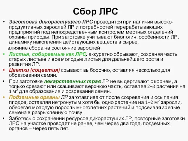 Сбор ЛРС Заготовка дикорастущего ЛРС проводится при наличии высоко-продуктивных зарослей ЛР