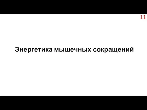 Энергетика мышечных сокращений