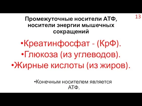 Промежуточные носители АТФ, носители энергии мышечных сокращений Креатинфосфат - (КрФ). Глюкоза