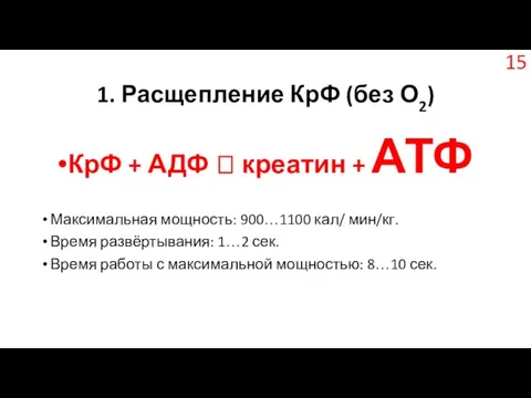 1. Расщепление КрФ (без О2) КрФ + АДФ ? креатин +