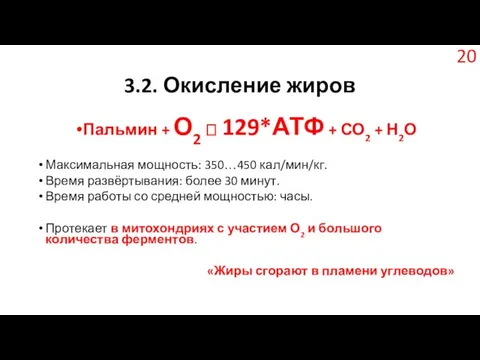 3.2. Окисление жиров Пальмин + О2 ? 129*АТФ + СО2 +