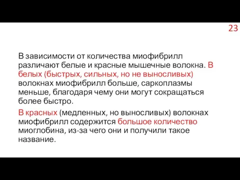 В зависимости от количества миофибрилл различают белые и красные мышечные волокна.