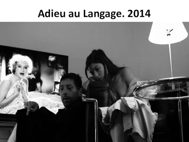 Adieu au Langage. 2014