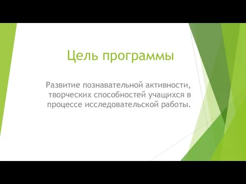 Цель программы Развитие познавательной активности, творческих способностей учащихся в процессе исследовательской работы.