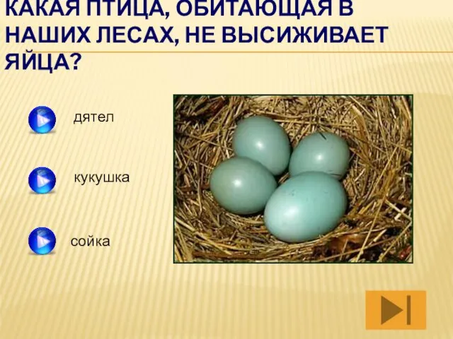 КАКАЯ ПТИЦА, ОБИТАЮЩАЯ В НАШИХ ЛЕСАХ, НЕ ВЫСИЖИВАЕТ ЯЙЦА? дятел сойка кукушка