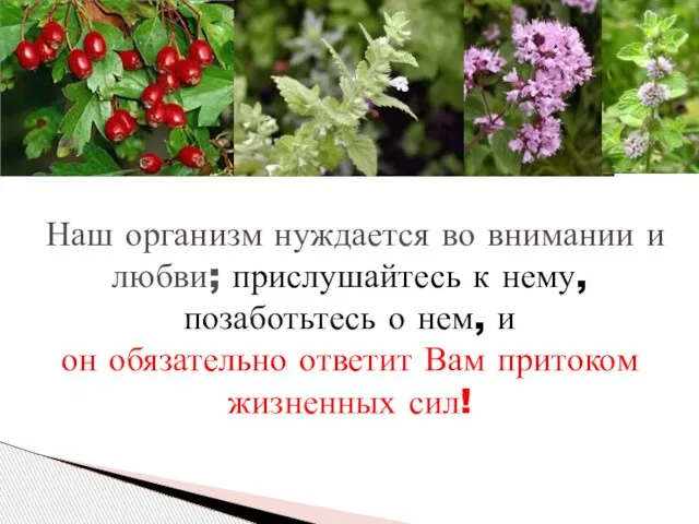 Наш организм нуждается во внимании и любви; прислушайтесь к нему, позаботьтесь