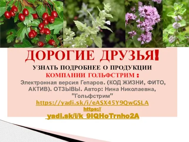 ДОРОГИЕ ДРУЗЬЯ! УЗНАТЬ ПОДРОБНЕЕ О ПРОДУКЦИИ КОМПАНИИ ГОЛЬФСТРИМ : Электронная версия