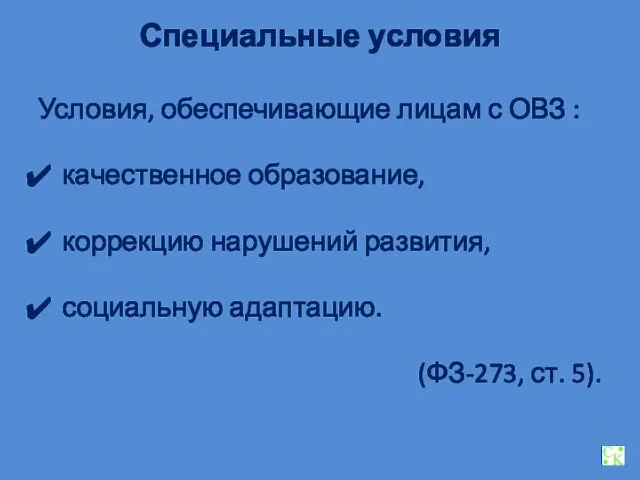 Специальные условия Условия, обеспечивающие лицам с ОВЗ : качественное образование, коррекцию