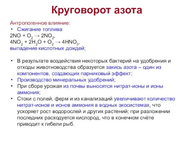 Круговорот азота Антропогенное влияние: Сжигание топлива 2NO + O2 → 2NO2,