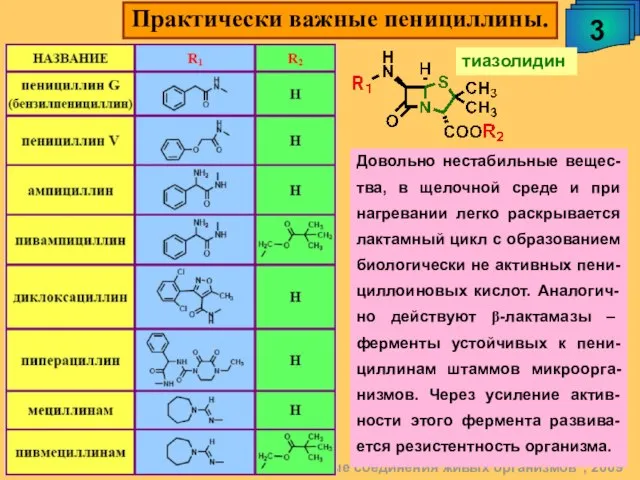 Практически важные пенициллины. 3 А.М. Чибиряев "Биологически активные соединения живых организмов",