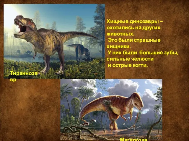 Тираннозавр Мегалозавр Хищные динозавры – охотились на других животных. Это были