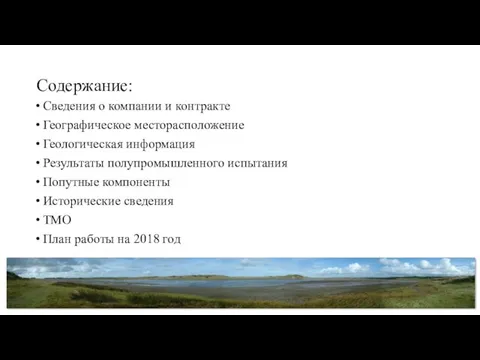 Содержание: Сведения о компании и контракте Географическое месторасположение Геологическая информация Результаты