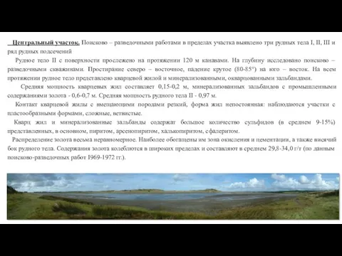 Центральный участок. Поисково – разведочными работами в пределах участка выявлено три