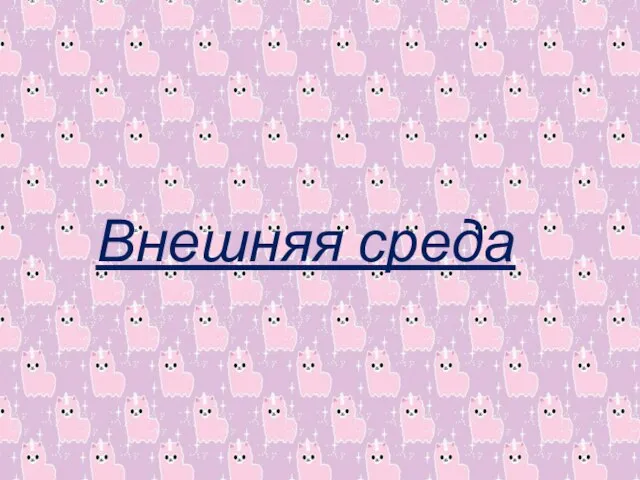 Внешняя среда