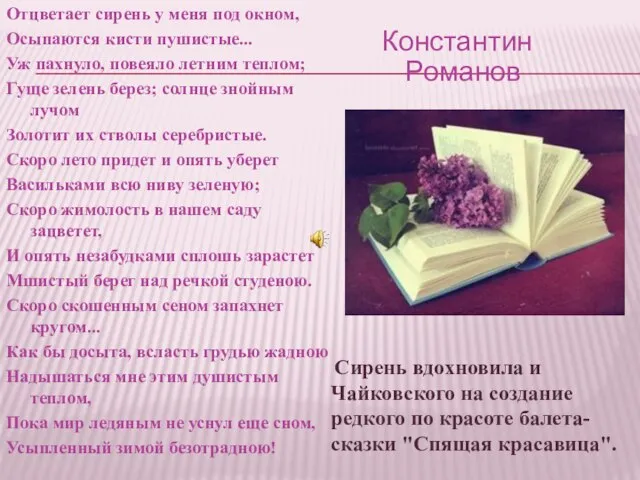 Отцветает сирень у меня под окном, Осыпаются кисти пушистые... Уж пахнуло,