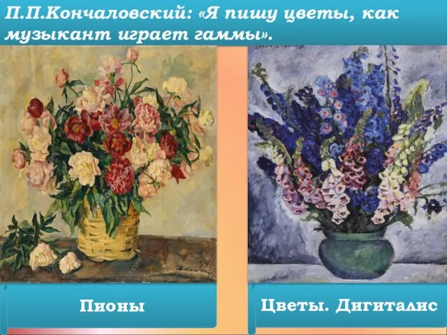 П.П.Кончаловский: «Я пишу цветы, как музыкант играет гаммы». Цветы. Дигиталис Пионы
