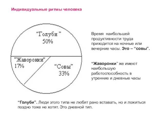 Время наибольшей продуктивности труда приходится на ночные или вечерние часы. Это