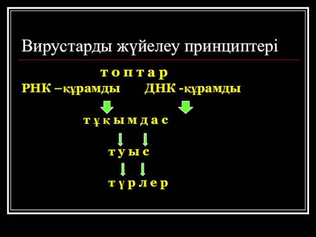 Вирустарды жүйелеу принциптері т о п т а р РНК –құрамды