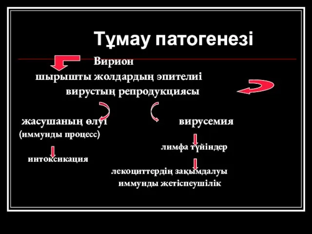 Тұмау патогенезі Вирион шырышты жолдардың эпителиі вирустың репродукциясы жасушаның өлуі вирусемия