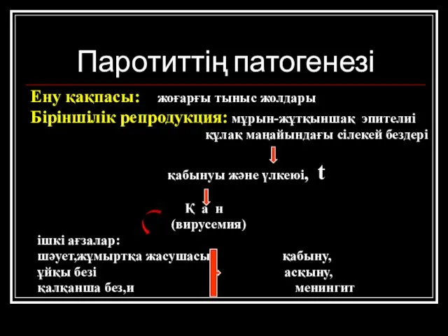 Паротиттің патогенезі Ену қақпасы: жоғарғы тыныс жолдары Біріншілік репродукция: мұрын-жұтқыншақ эпителиі