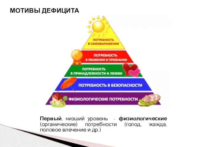 Первый, низший уровень - физиологические (органические) потребности (голод, жажда, половое влечение и др.) МОТИВЫ ДЕФИЦИТА