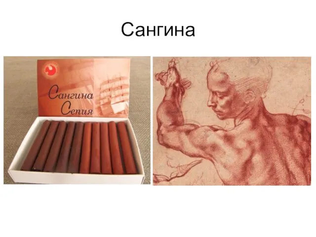 Сангина