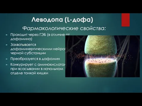 Леводопа (L-дофа) Проходит через ГЭБ (в отличие от дофамина) Захватывается дофаминергическими