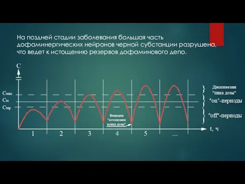 На поздней стадии заболевания большая часть дофаминергических нейронов черной субстанции разрушена,