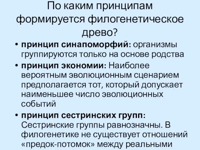 По каким принципам формируется филогенетическое древо? принцип синапоморфий: организмы группируются только