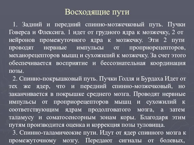 Восходящие пути 1. Задний и передний спинно-мозжечковый путь. Пучки Говерса и