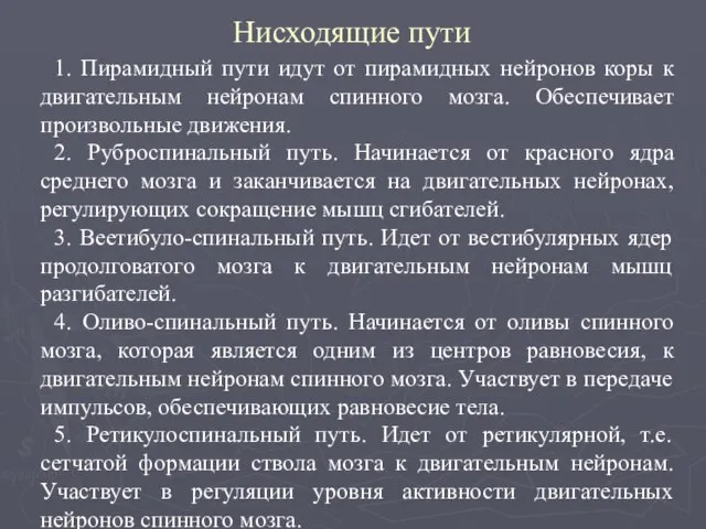 Нисходящие пути 1. Пирамидный пути идут от пирамидных нейронов коры к