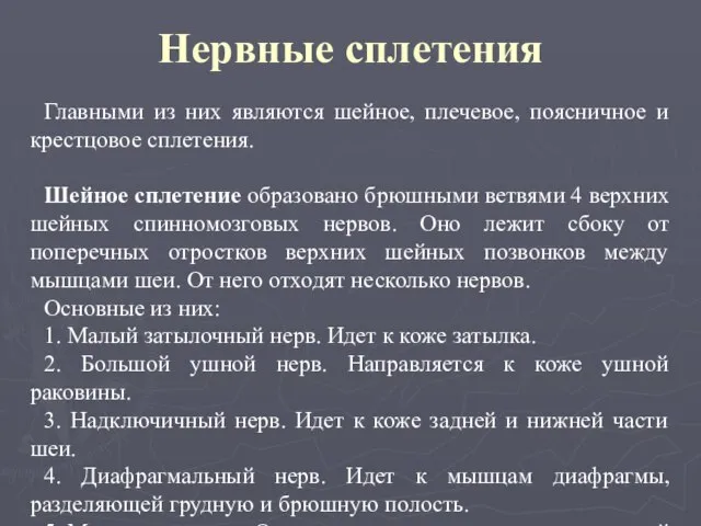 Нервные сплетения Главными из них являются шейное, плечевое, поясничное и крестцовое