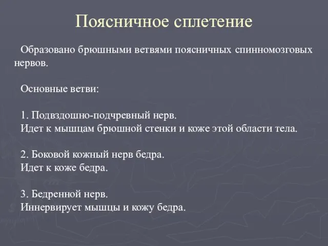 Поясничное сплетение Образовано брюшными ветвями поясничных спинномозговых нервов. Основные ветви: 1.