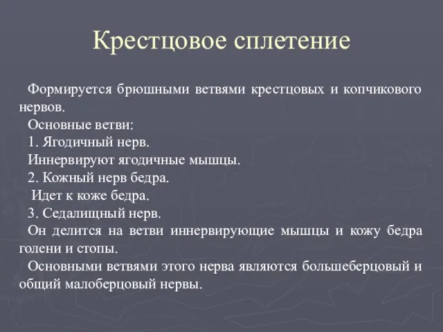 Крестцовое сплетение Формируется брюшными ветвями крестцовых и копчикового нервов. Основные ветви: