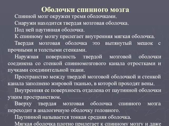 Оболочки спинного мозга Спинной мозг окружен тремя оболочками. Снаружи находится твердая