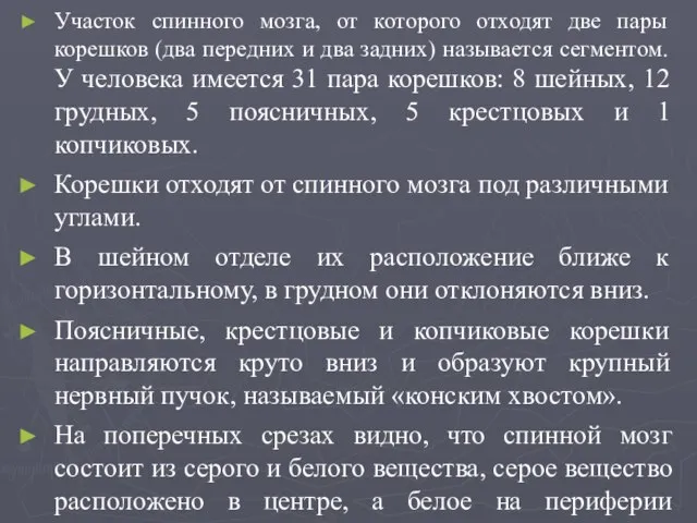 Участок спинного мозга, от которого отходят две пары корешков (два передних