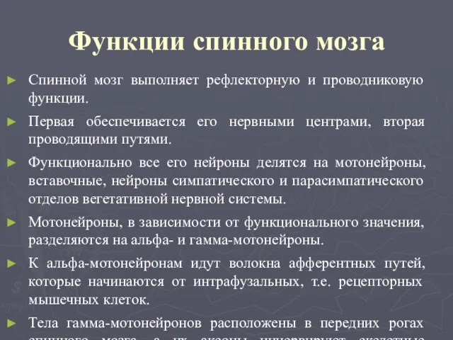 Функции спинного мозга Спинной мозг выполняет рефлекторную и проводниковую функции. Первая