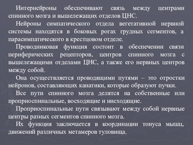 Интернейроны обеспечивают связь между центрами спинного мозга и вышележащих отделов ЦНС.