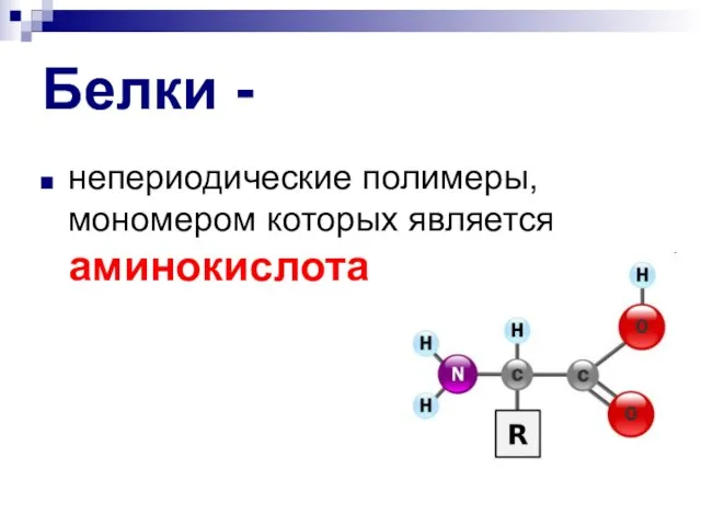 Белки - непериодические полимеры, мономером которых является аминокислота