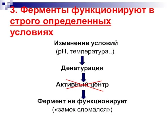 3. Ферменты функционируют в строго определенных условиях Изменение условий (рН, температура..)