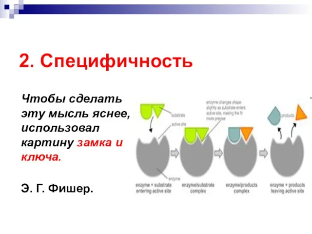 2. Специфичность Чтобы сделать эту мысль яснее, я использовал картину замка и ключа. Э. Г. Фишер.