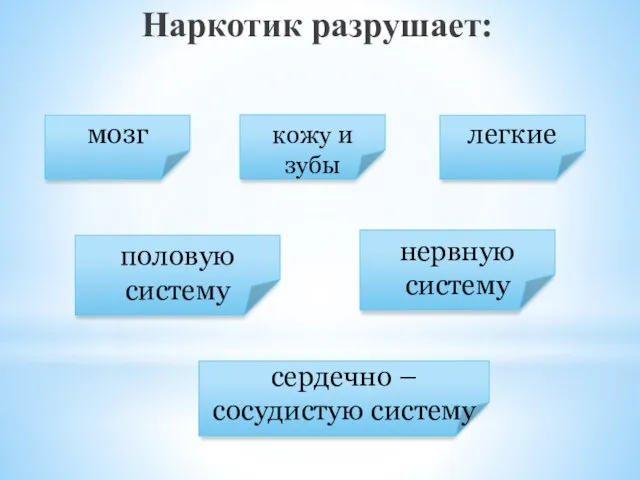 Наркотик разрушает: мозг кожу и зубы легкие половую систему нервную систему сердечно – сосудистую систему