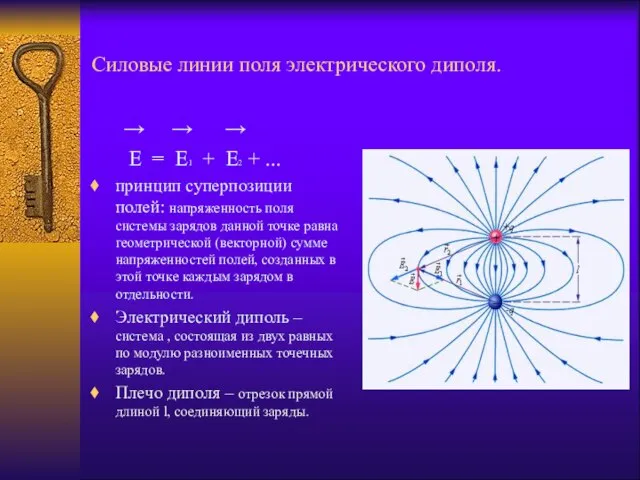 Силовые линии поля электрического диполя. → → → E = E1