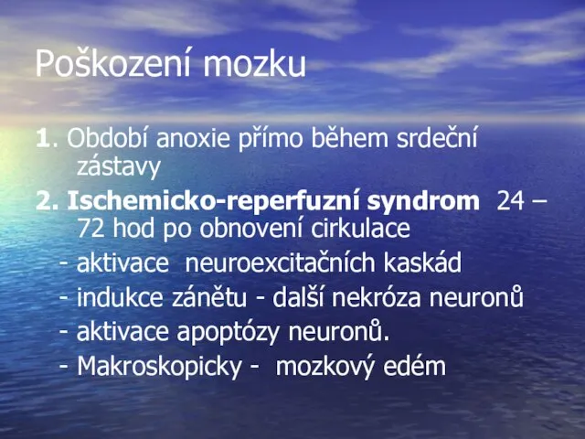 Poškození mozku 1. Období anoxie přímo během srdeční zástavy 2. Ischemicko-reperfuzní