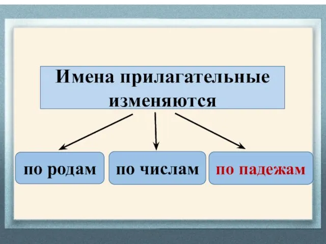 Имена прилагательные изменяются по родам по числам по падежам