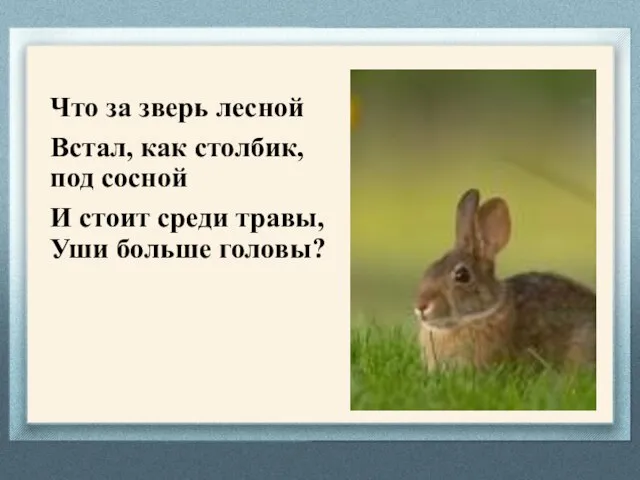 Что за зверь лесной Встал, как столбик, под сосной И стоит среди травы, Уши больше головы?