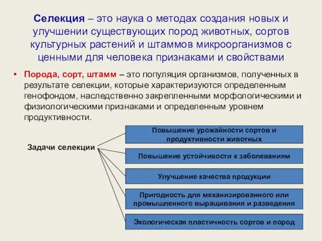 Селекция – это наука о методах создания новых и улучшении существующих