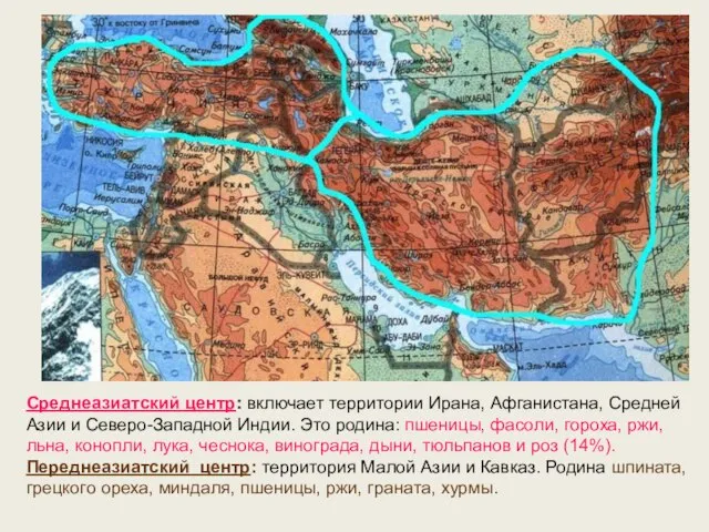 Среднеазиатский центр: включает территории Ирана, Афганистана, Средней Азии и Северо-Западной Индии.