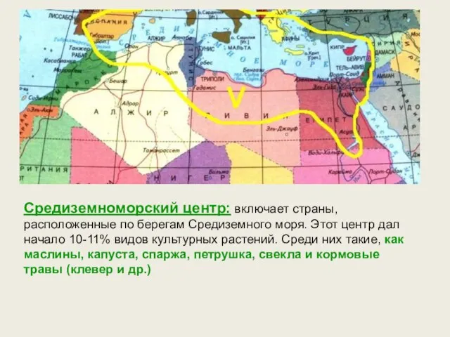 Средиземноморский центр: включает страны, расположенные по берегам Средиземного моря. Этот центр